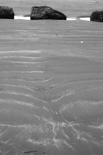 Black and white_0002